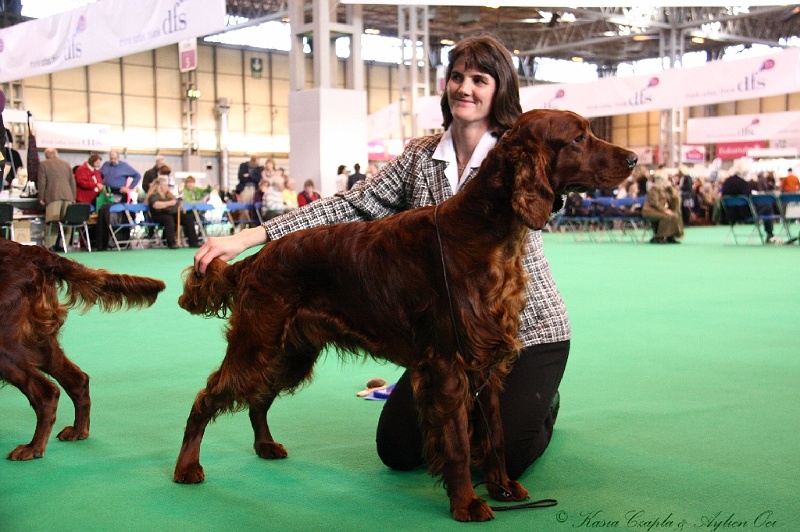 Crufts2011 206.jpg